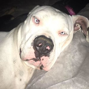 Meet your Posher, Terri